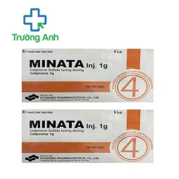 Minata Inj.1g Kyongbo Pharma - Thuốc trị nhiễm khuẩn hiệu quả