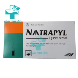 NAATRAPYL 1G - Thuốc điều trị suy giảm thần kinh của Pymepharco