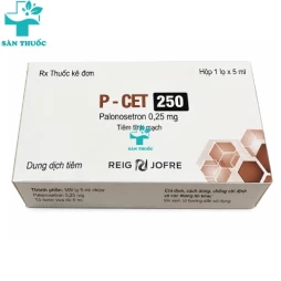 P-Cet 250 - Palonosetron 0,25mg Reig Jofre