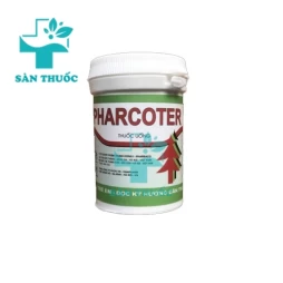Pharcoter lọ 400 - Thuốc điều trị viêm phế quản hiệu quả