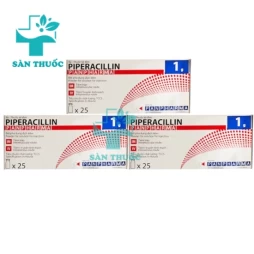 Piperacillin Panpharma 1g - Thuốc điều trị nhiễm khuẩn của Pháp
