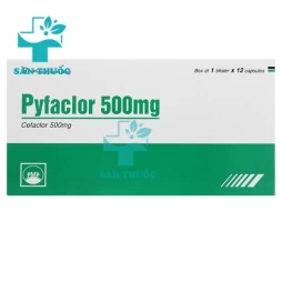 Pyfaclor 500mg - Điều trị các bệnh do nhiễm khuẩn của Pymepharco