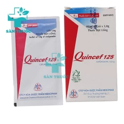 Quincef 125mg (bột) - Thuốc điều trị nhiễm khuẩn hiệu quả