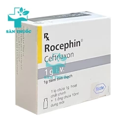 Rocephin 1g - Thuốc điều trị nhiễm trùng nặng hiệu quả