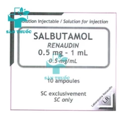 Salbutamol Renaudin 0,5mg/1ml - Thuốc điều trị hen suyễn hiệu quả