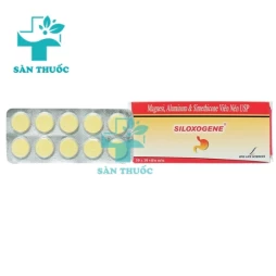 Siloxogene RPG Lifesciences (100 viên) - Thuốc trị tiết dịch acid