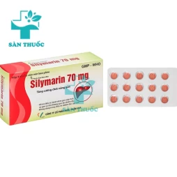 Silymarin 70mg VCP - Hỗ trợ cường chức năng gan