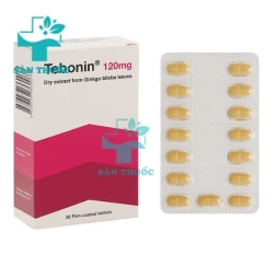 Tebonin 120mg - Điều trị rối loạn tuần hoàn máu não của Đức