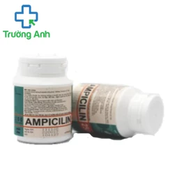 Ampicilin Pharbaco (lọ) - Thuốc trị nhiễm khuẩn của Pharbaco