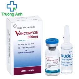 Vancomycin 500mg Bidiphar - Thuốc kháng sinh hiệu quả