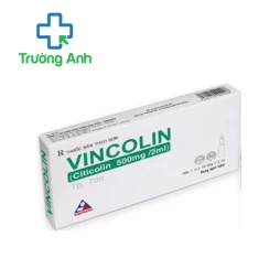 Natri Vincolin 500mg/2ml Vinphaco - Thuốc điều trị tổn thương não