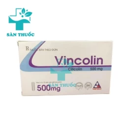 Natri Vincolin 500mg/2ml Vinphaco - Thuốc điều trị tổn thương não