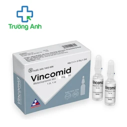 Vingomin 0,2mg/1ml Vinphaco - Thuốc chống chảy máu sau sinh