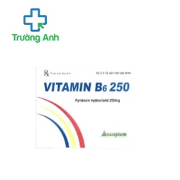 Vitamin B6 250 Vacopharm - Thuốc điều trị thiếu vitamin B6