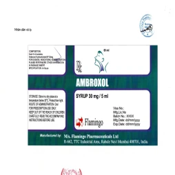 Ambroxol syrup 30mg/5ml Flamingo - Thuốc tiêu chất nhày hô hấp của Ấn Độ