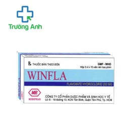 Winfla 200mg Mebiphar - Thuốc điều trị bệnh đường tiết niệu