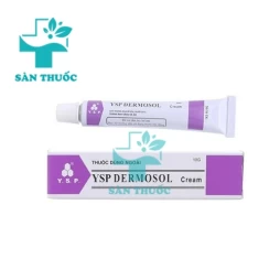 YSP Dermosol Cream 10g - Thuốc điều trị viêm da hiệu quả