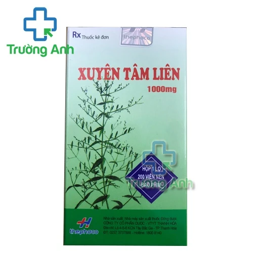 Xuyên tâm liên 1000mg Thephaco giúp hỗ trợ điều trị những bệnh gì?
