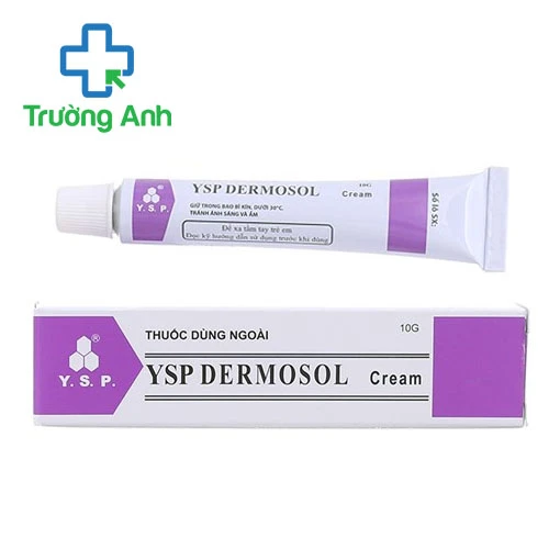 YSP Dermosol Cream 10g - Thuốc điều trị viêm da hiệu quả