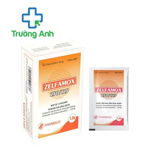 Zelfamox 250/125 Pharbaco - Thuốc điều trị nhiễm khuẩn hiệu quả