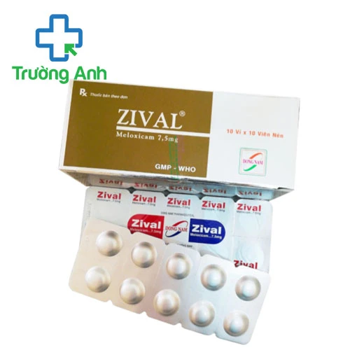 Zival - Thuốc điều trị đau xương khớp hiệu quả